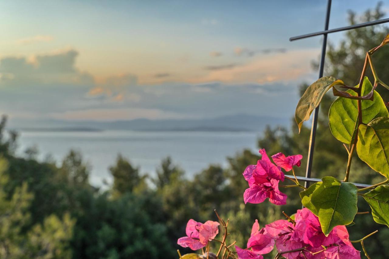 Holiday House Sunset Haven Estate Sutivan Exterior foto